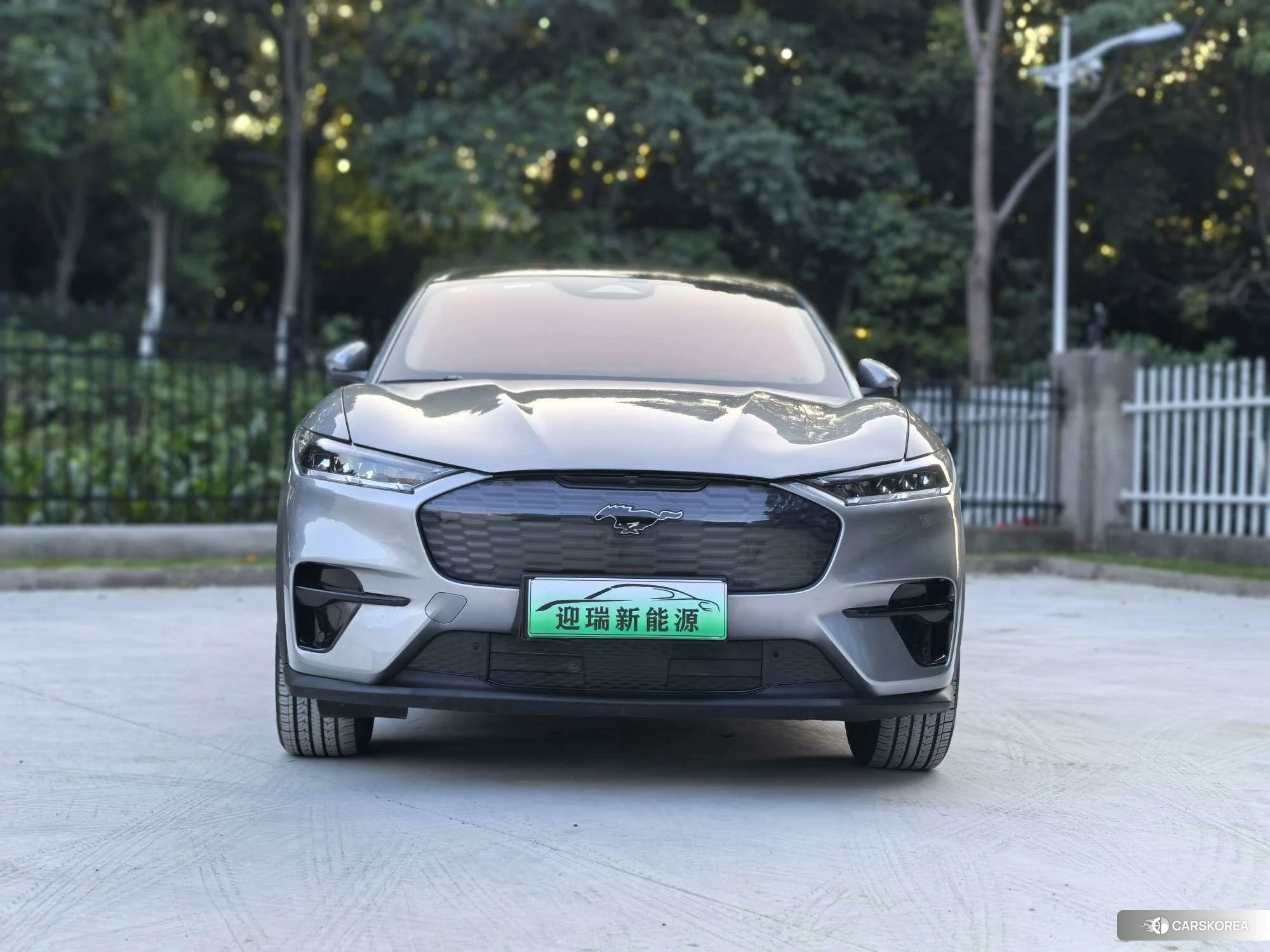 Ford Electric horse 2021 Темно-серый из Китая, фото 2