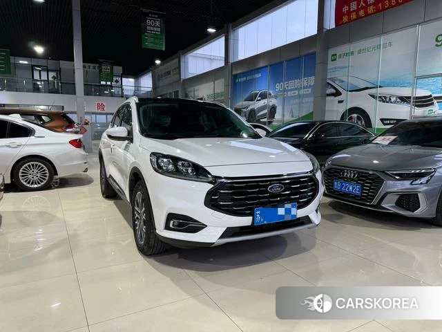 Ford Ruiji 2023 Белый из Китая, фото 2