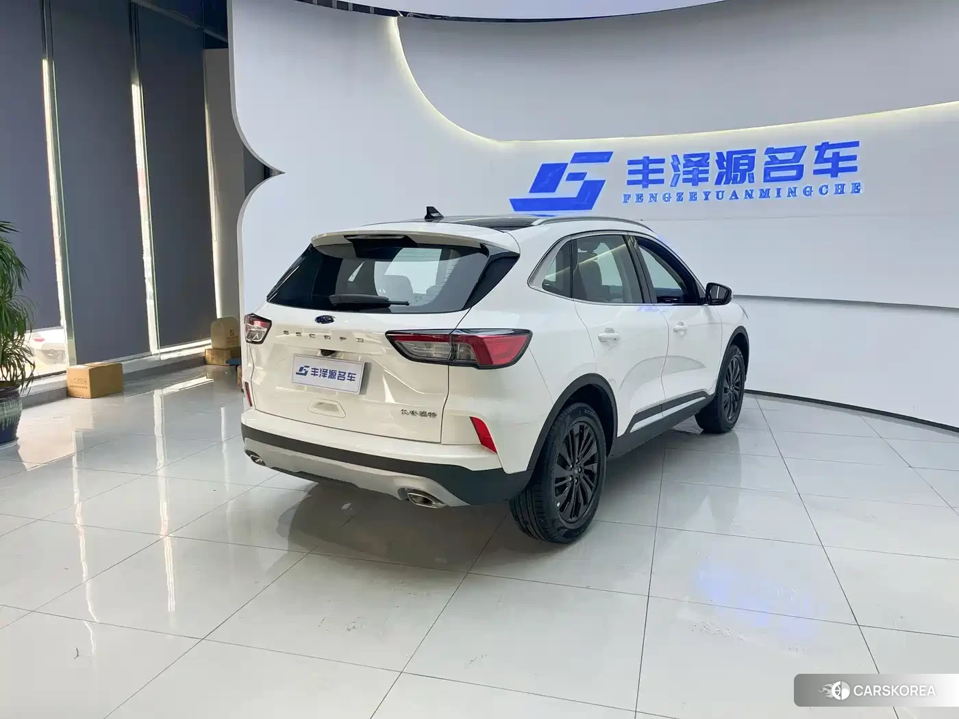 Ford Ruiji 2026 Белый из Китая, фото 2