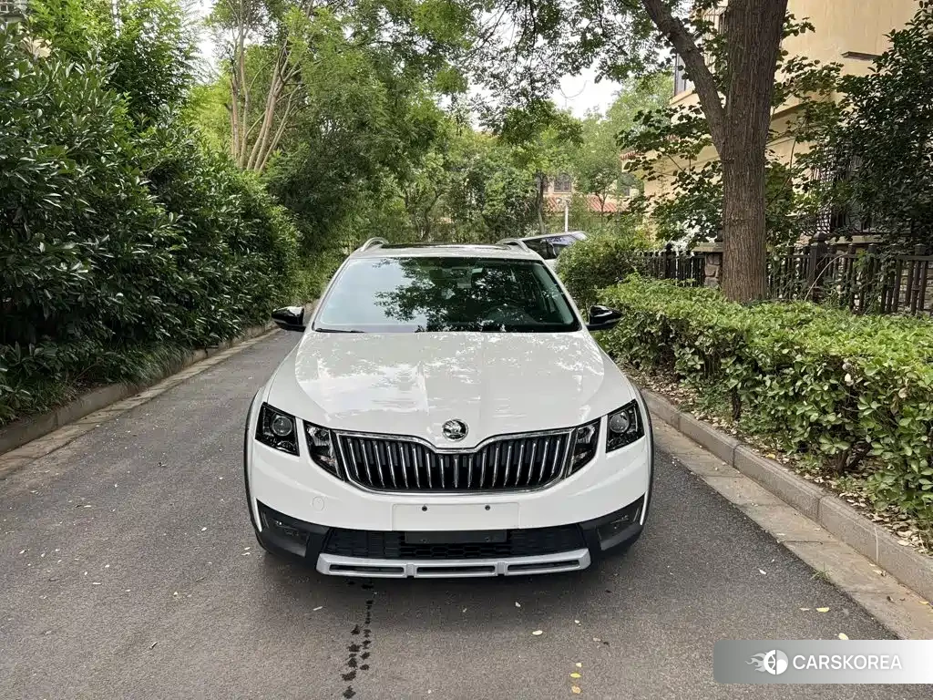 Skoda Octavia 2020 Белый из Китая, фото 2