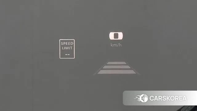 Dodge Lampicup 2021 Черный из Кореи, фото 2