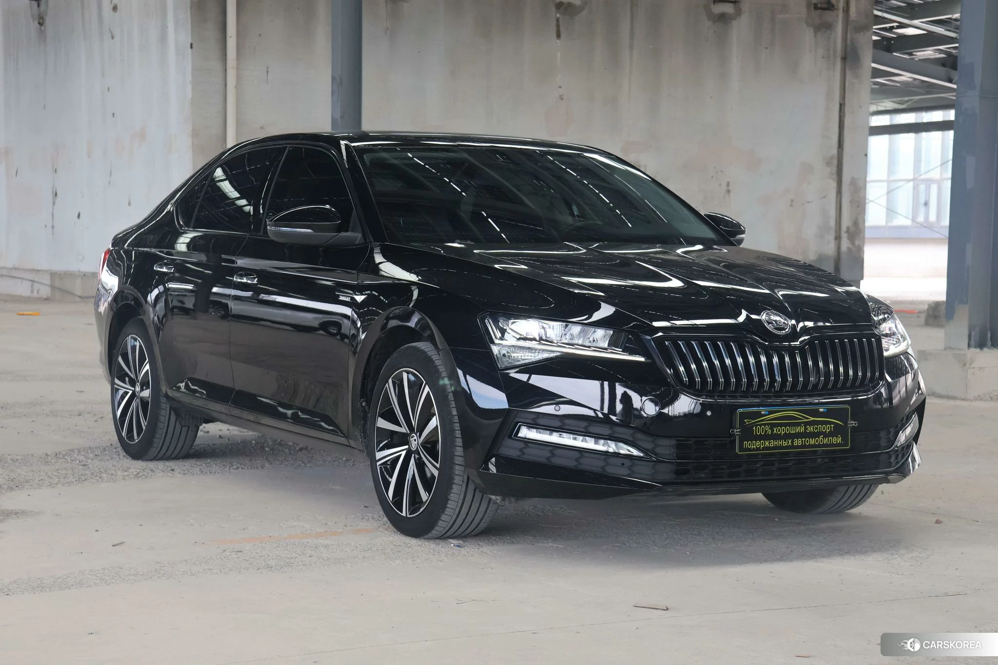 Skoda Speed pie 2023 Черный из Китая, фото 2