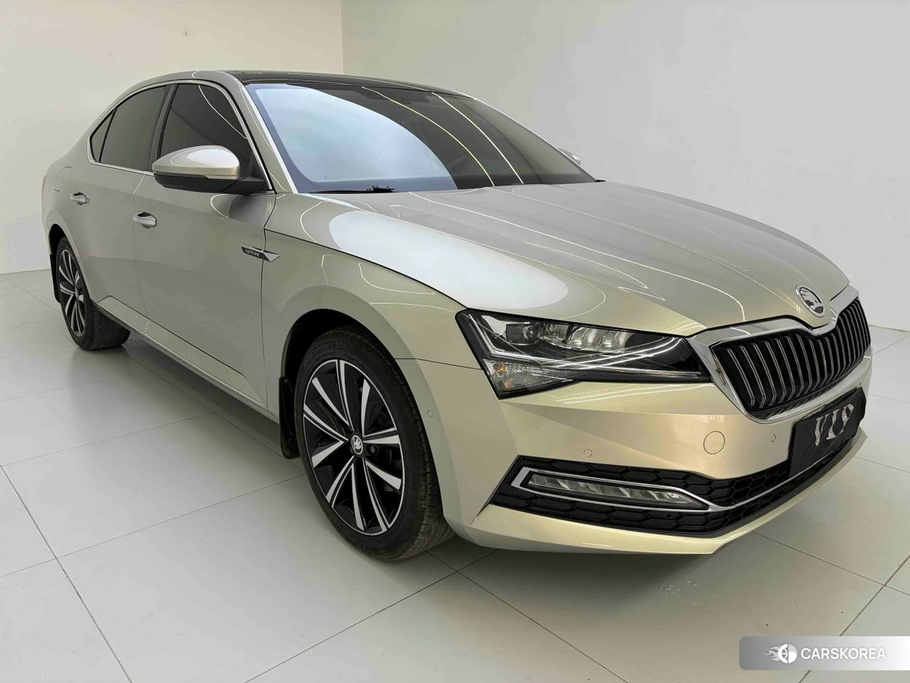 Skoda Speed pie 2022 Шампань из Китая, фото 2