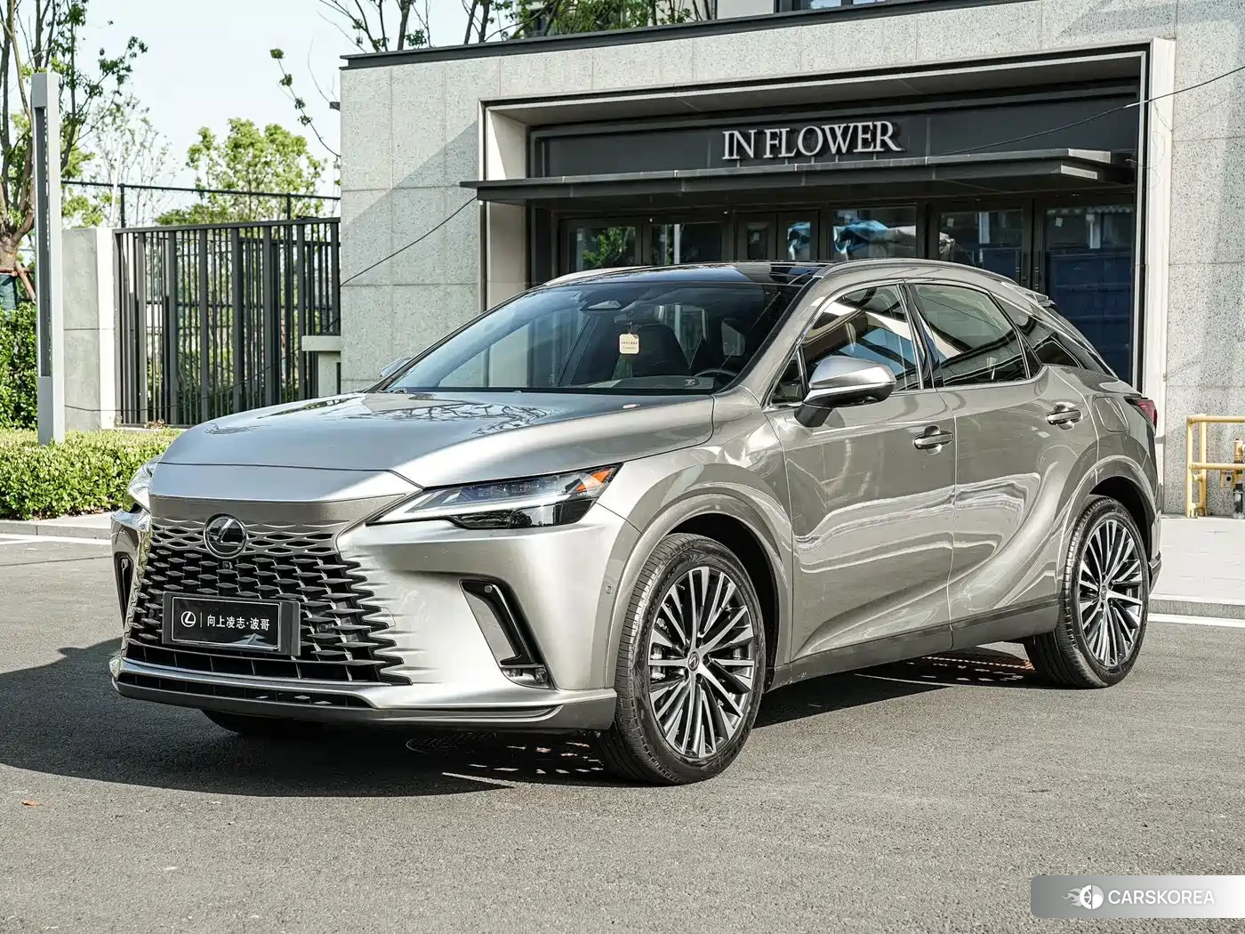 Lexus RX 2023 Silver/gray из Китая, фото 2