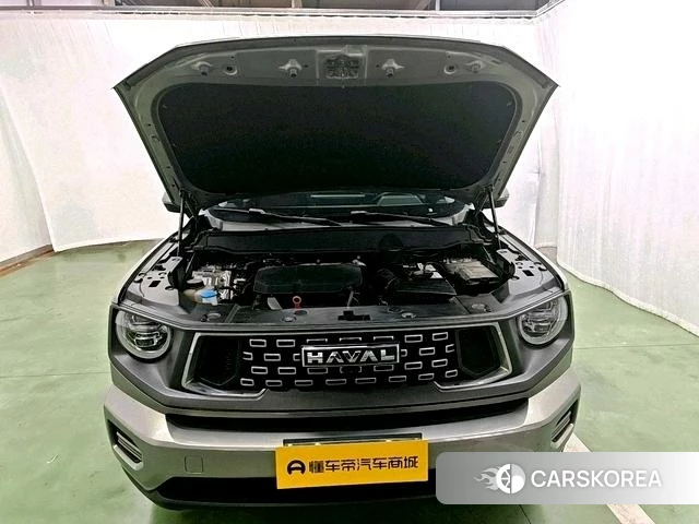 Haval Big Dog PLUS 2023 Темно-серый из Китая, фото 2