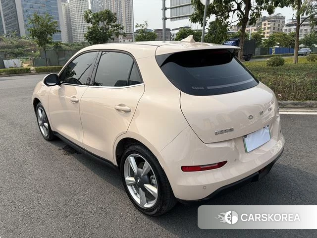 Euler Good cat 2023 Другой из Китая, фото 2