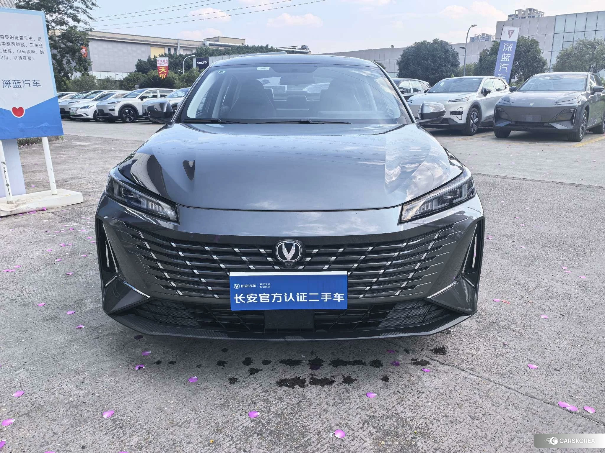 Chang'an Yidong 2024 Темно-серый из Китая, фото 2