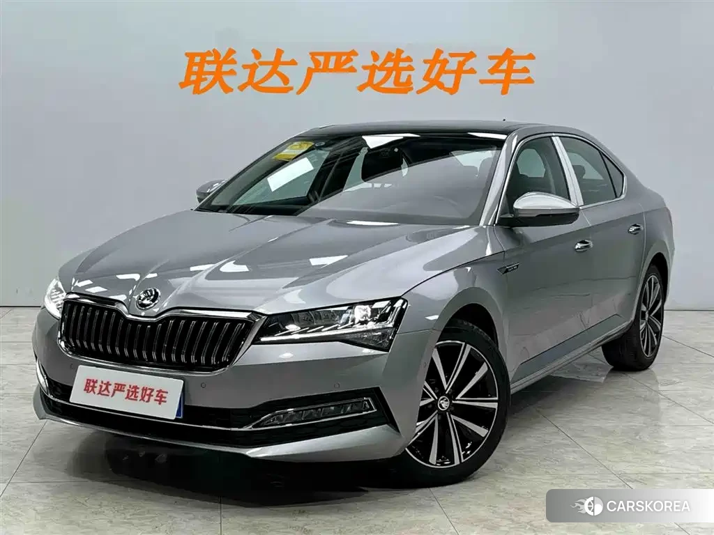 Skoda Speed pie 2024 Silver/gray из Китая, фото 2
