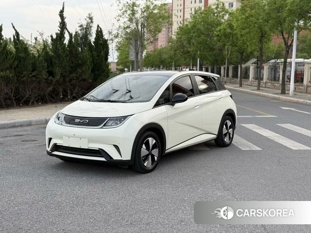 BYD dolphin 2023 Белый из Китая, фото 2
