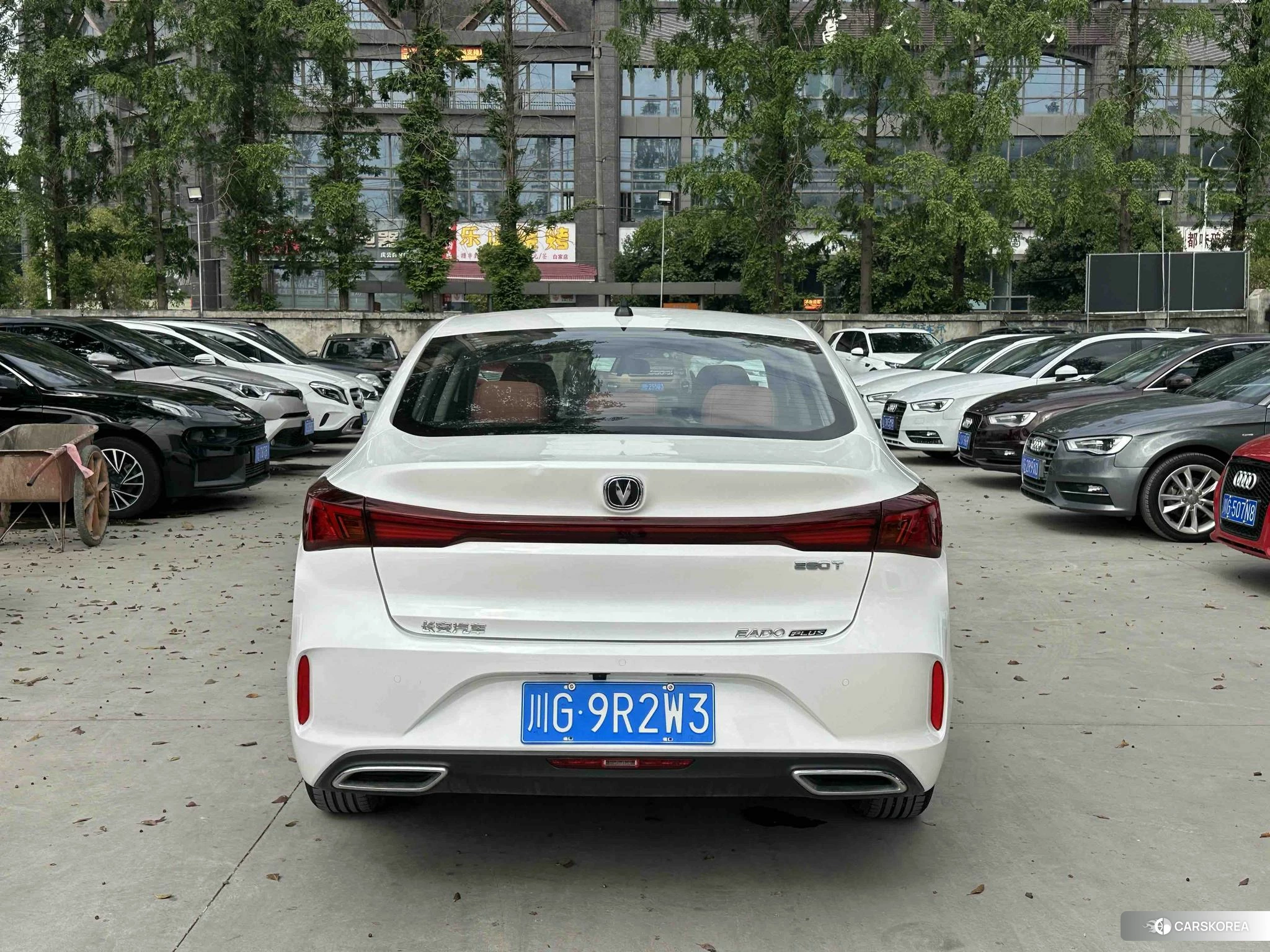 Chang'an Yidong 2024 Белый из Китая, фото 2