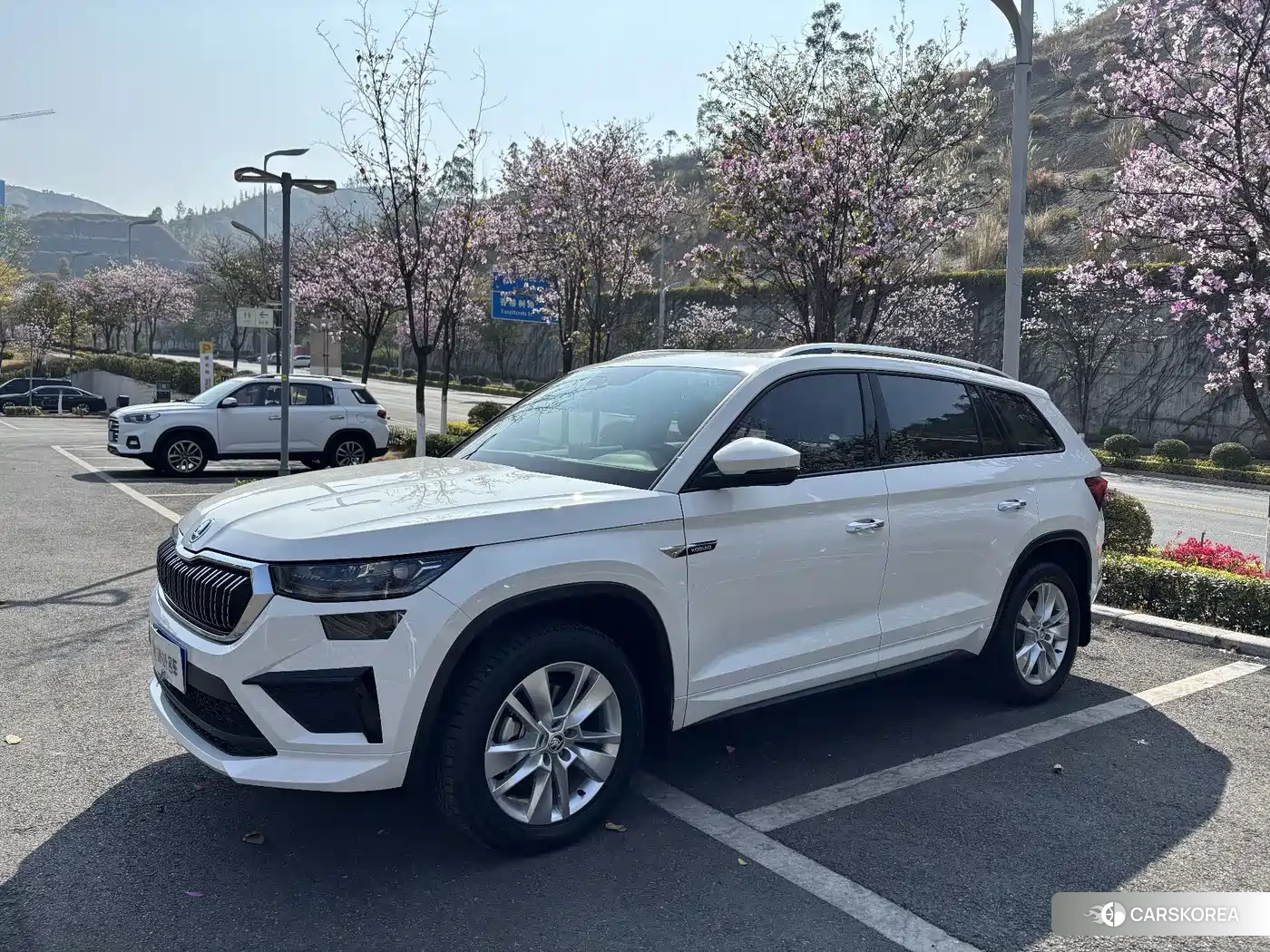 Skoda Kodiak 2025 Белый из Китая, фото 2