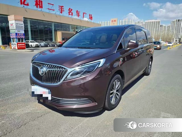 Buick GL8 2019 Коричневый из Китая, фото 2