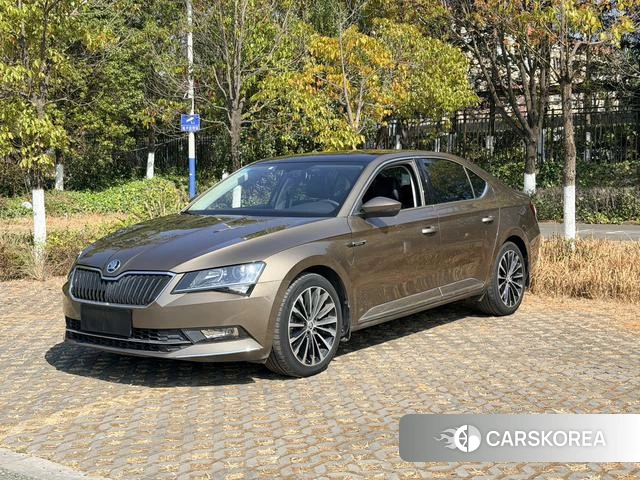 Skoda Speed pie 2019 Коричневый из Китая, фото 2