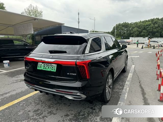 Red flag E-HS9 2023 Черный из Китая, фото 2