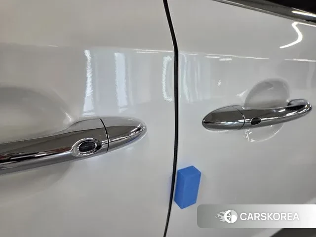 Kia The New Carnival 2020 Жемчужный цвет из Кореи, фото 2