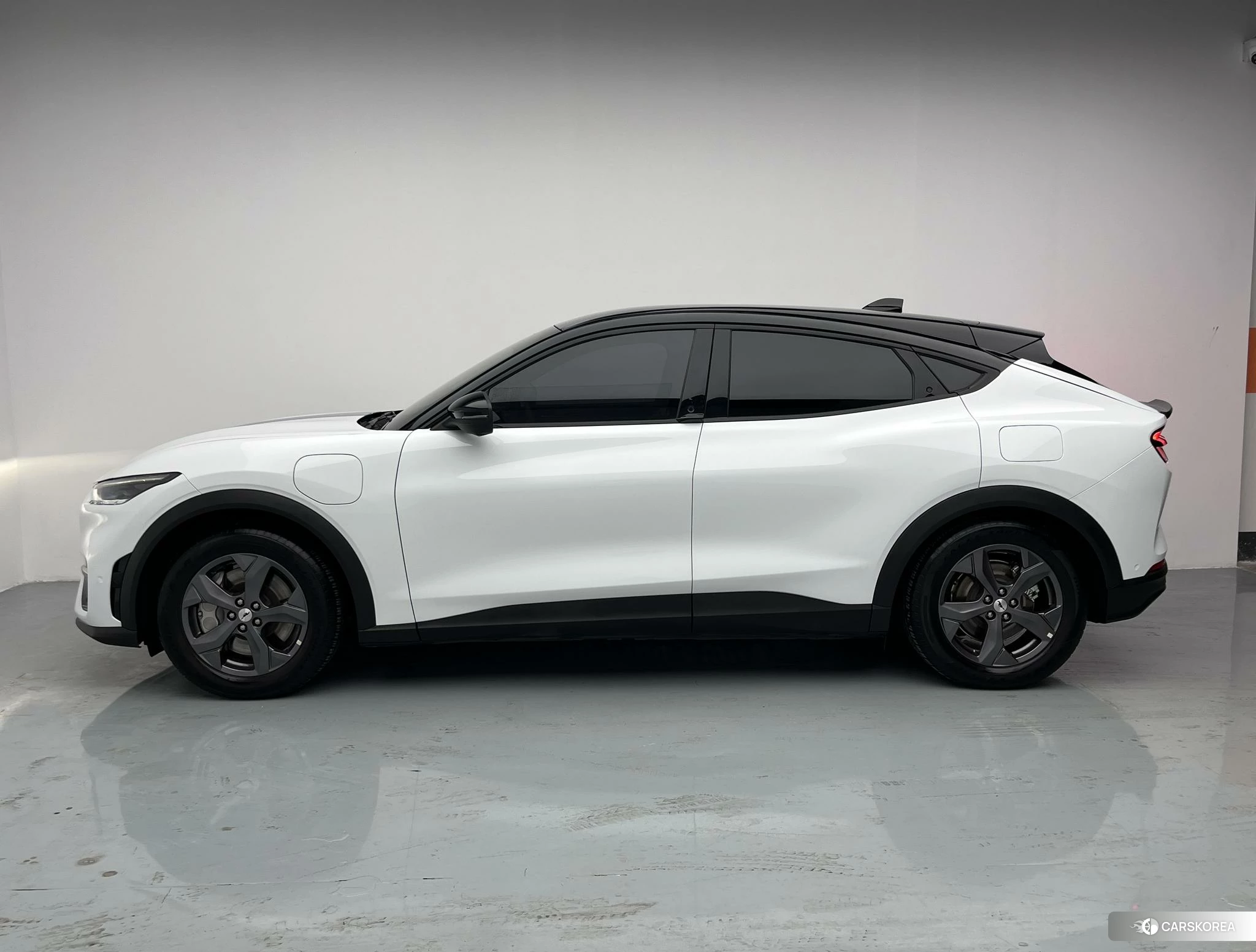 Ford Electric horse 2021 Другой из Китая, фото 2