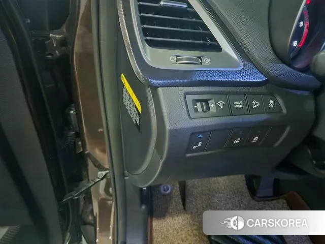 Hyundai Santa Fe The Prime 2018 Цвет тростника из Кореи, фото 2