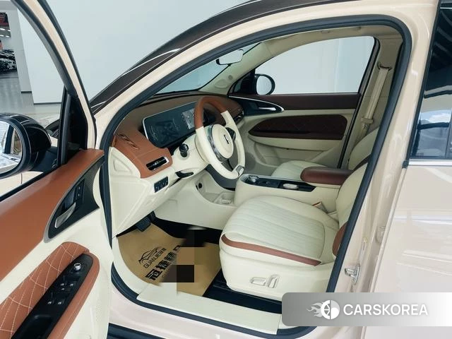 Euler Good cat 2021 Другой из Китая, фото 2