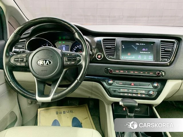 Kia The New Carnival 2019 Жемчужный цвет из Кореи, фото 2