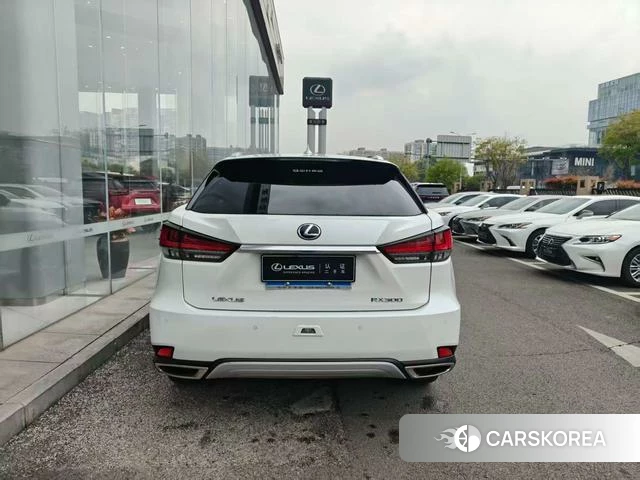 Lexus RX 2021 Белый из Китая, фото 2