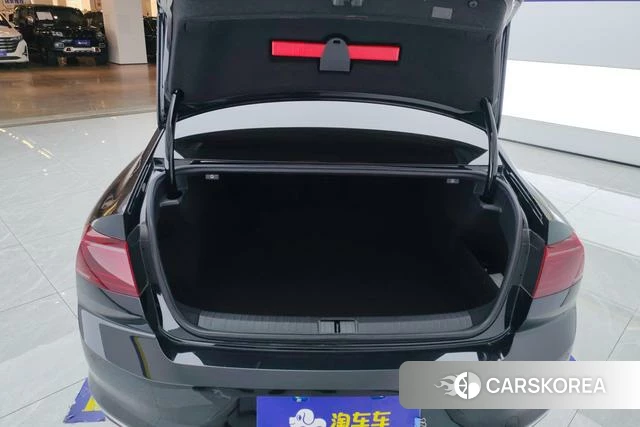 Volkswagen Magotan 2024 Черный из Китая, фото 2