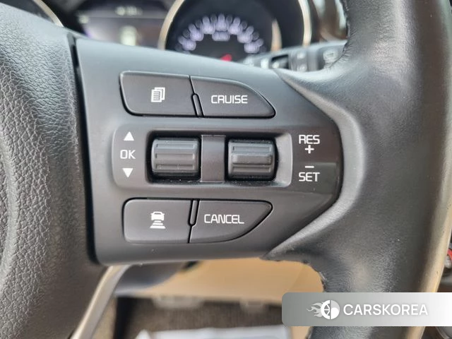 Kia The New Carnival 2019 Жемчужный цвет из Кореи, фото 2