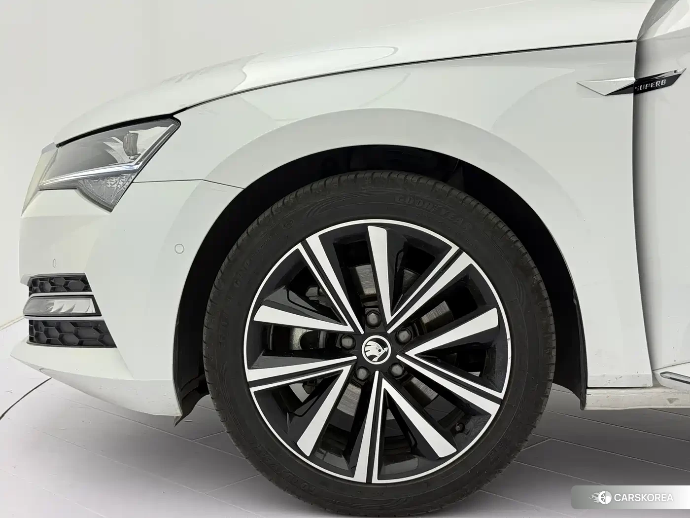 Skoda Speed pie 2023 Белый из Китая, фото 2