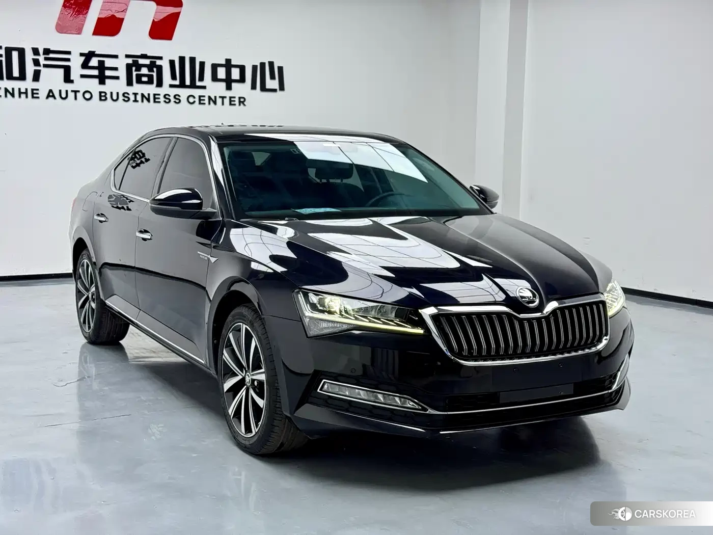 Skoda Speed pie 2023 Черный из Китая, фото 2