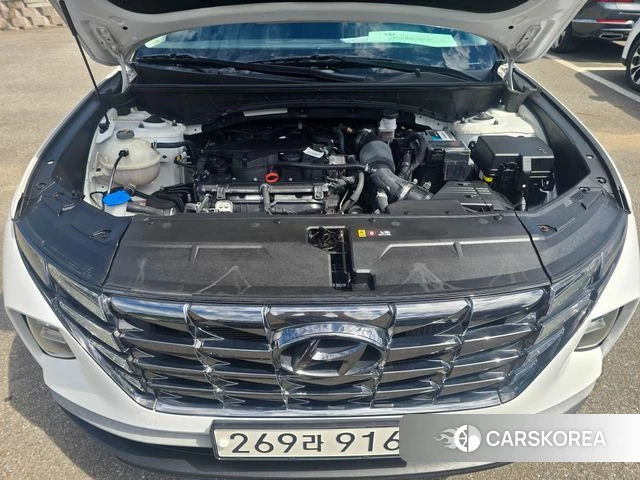 Hyundai Tucson (NX4) 2022 Белый из Кореи, фото 2