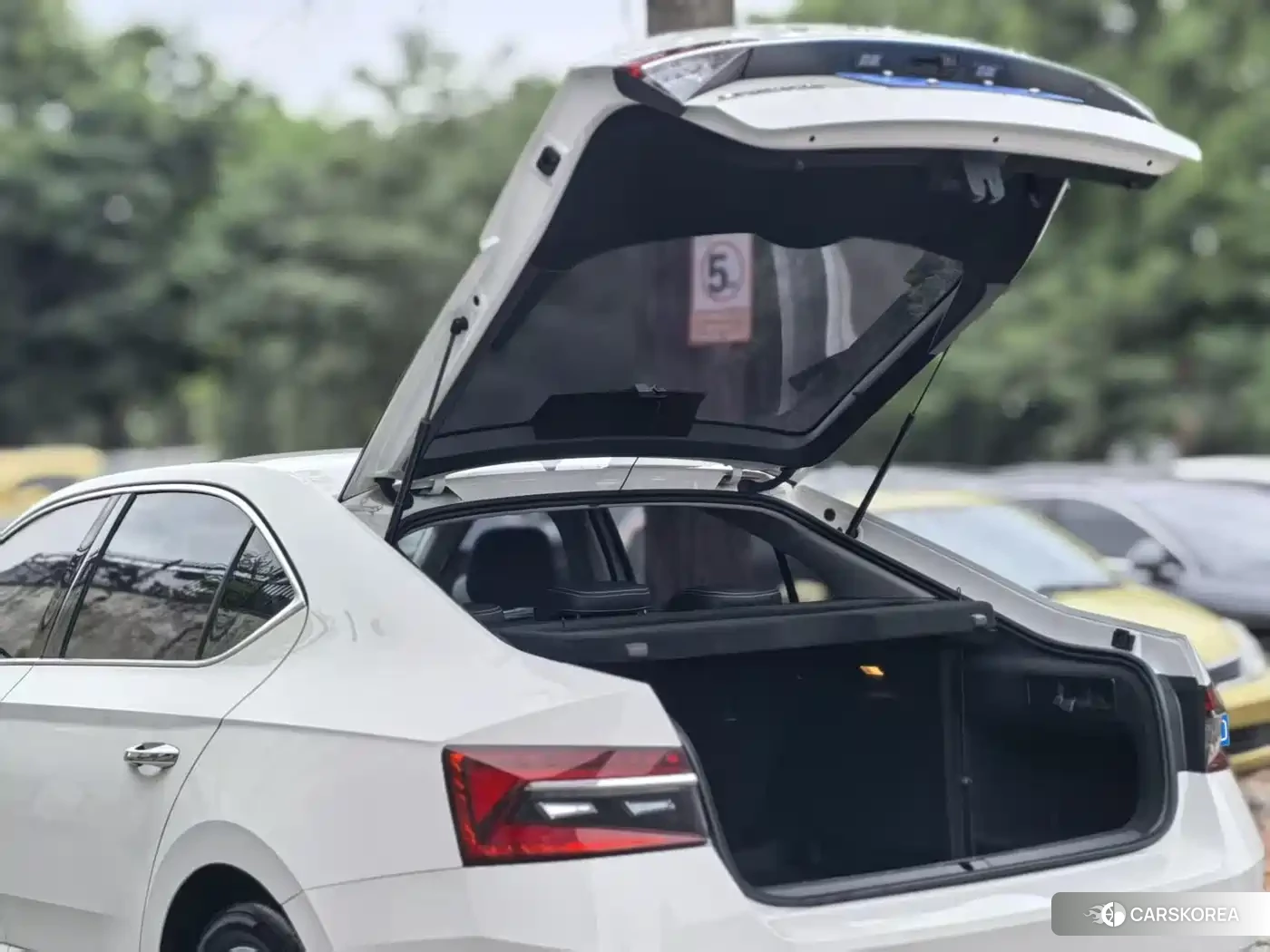 Skoda Speed pie 2021 Белый из Китая, фото 2