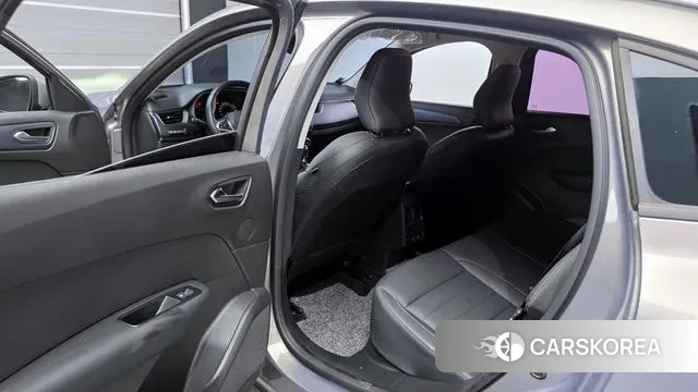 Renault Korea (Samsung) XM3 2020 Цвет тростника из Кореи, фото 2
