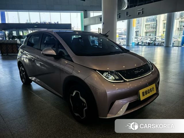 BYD dolphin 2022 Фиолетовый из Китая, фото 2