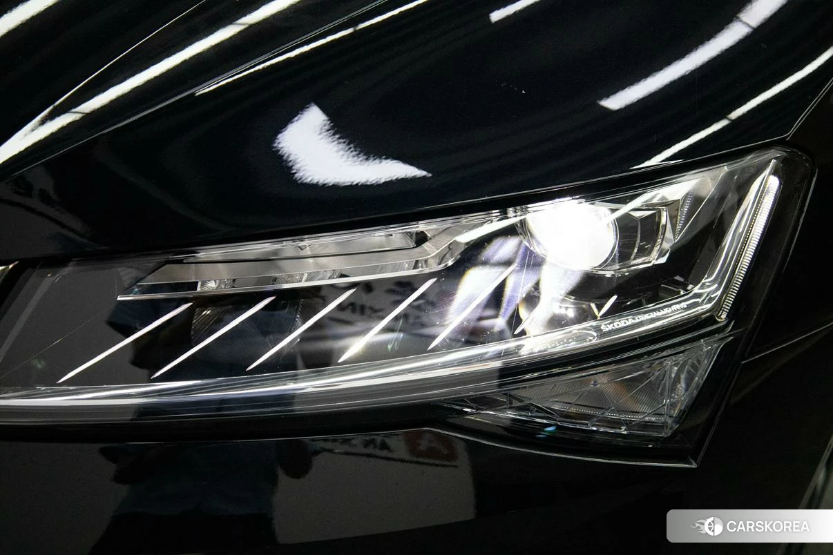 Skoda Speed pie 2023 Черный из Китая, фото 2