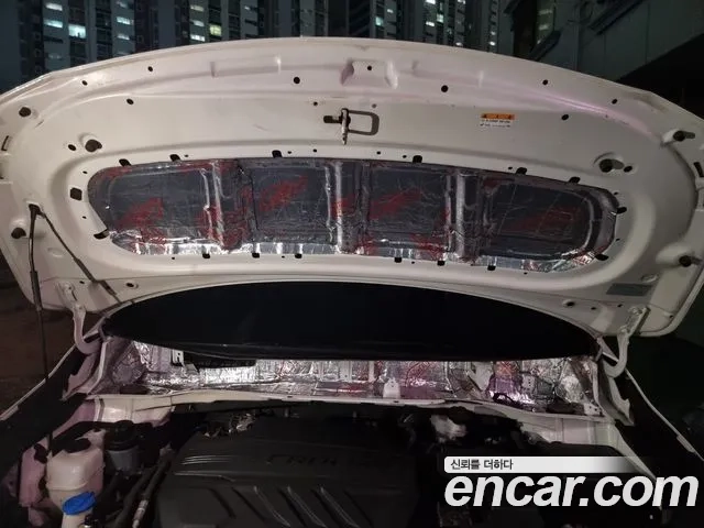 Kia The New Carnival 2020 Белый из Кореи, фото 2