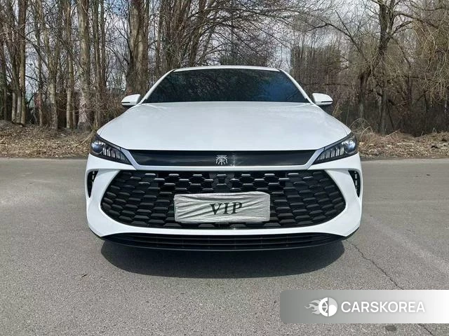 BYD Qin PLUS DM 2025 Белый из Китая, фото 2