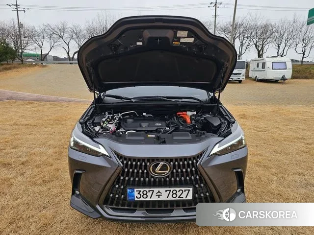 Lexus NX450h + 2nd generation 2023 Серый из Кореи, фото 2