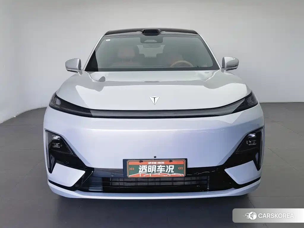 Dark blue car Dark blue S09 2025 Silver/gray из Китая, фото 2
