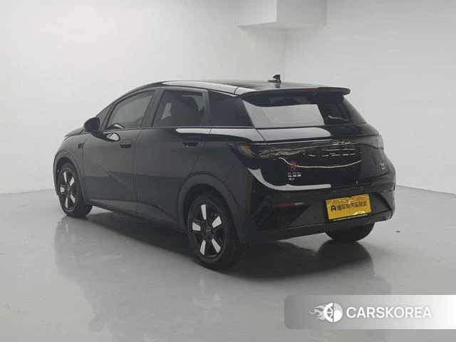 BYD dolphin 2025 Черный из Китая, фото 2