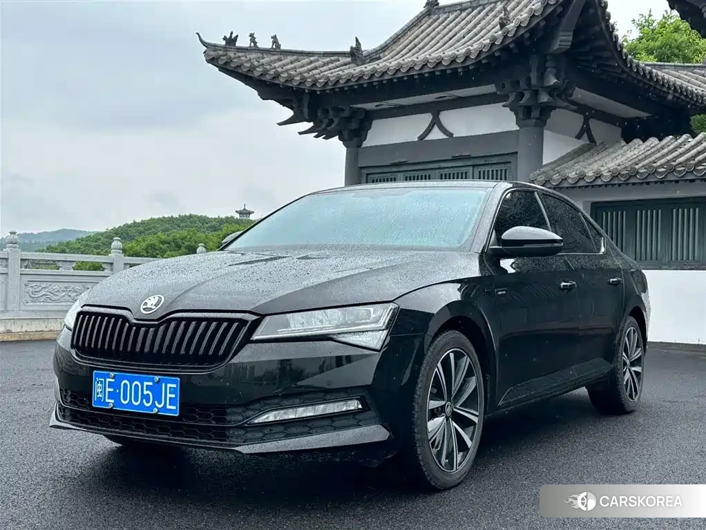Skoda Speed pie 2023 Черный из Китая, фото 2