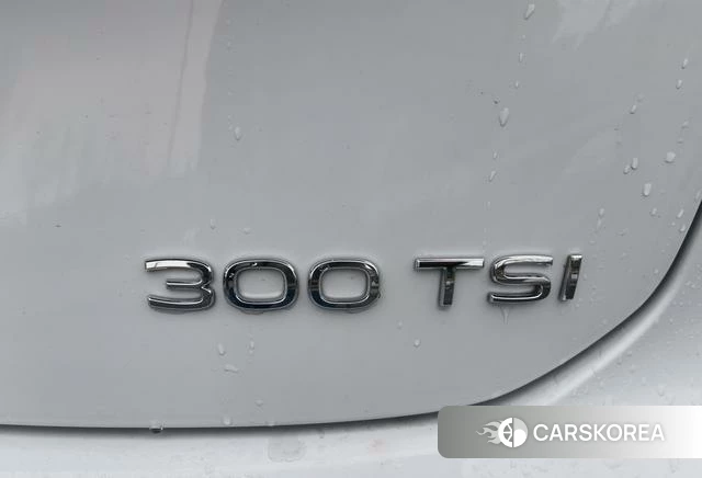 Volkswagen Tanyue 2023 Белый из Китая, фото 2
