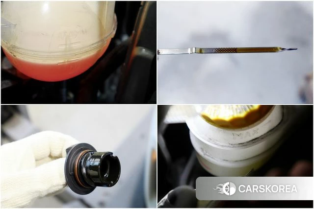 Jeep Renegade 2021 Белый из Кореи, фото 2