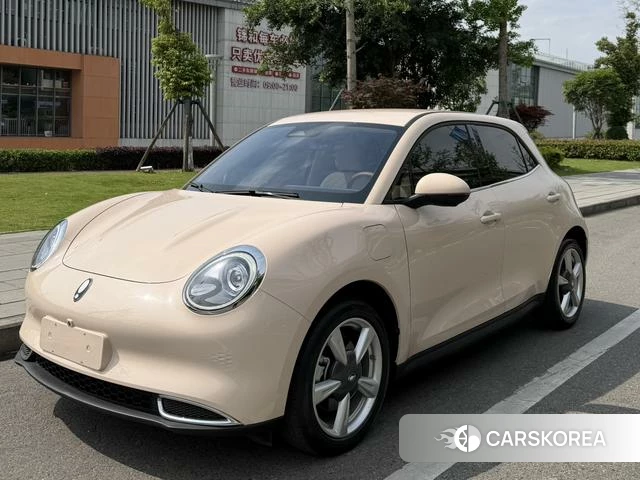 Euler Good cat 2023 Другой из Китая, фото 2