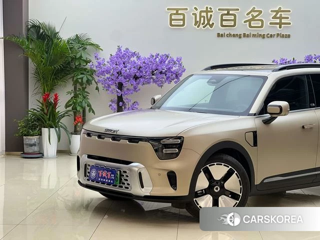 Smart Elf#5 2025 Шампань из Китая, фото 2