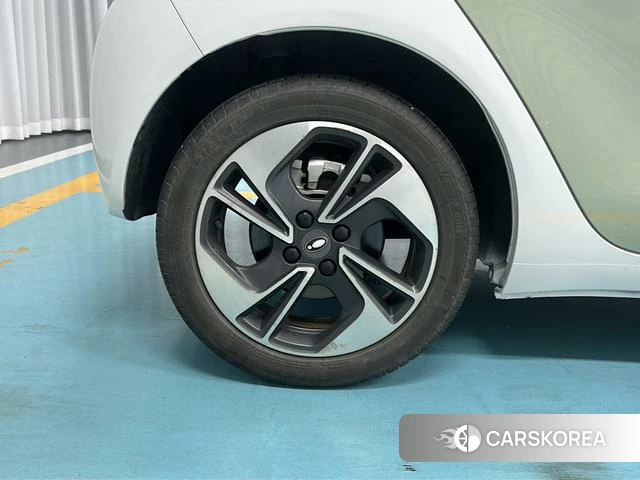 Euler Black cat 2022 Другой из Китая, фото 2