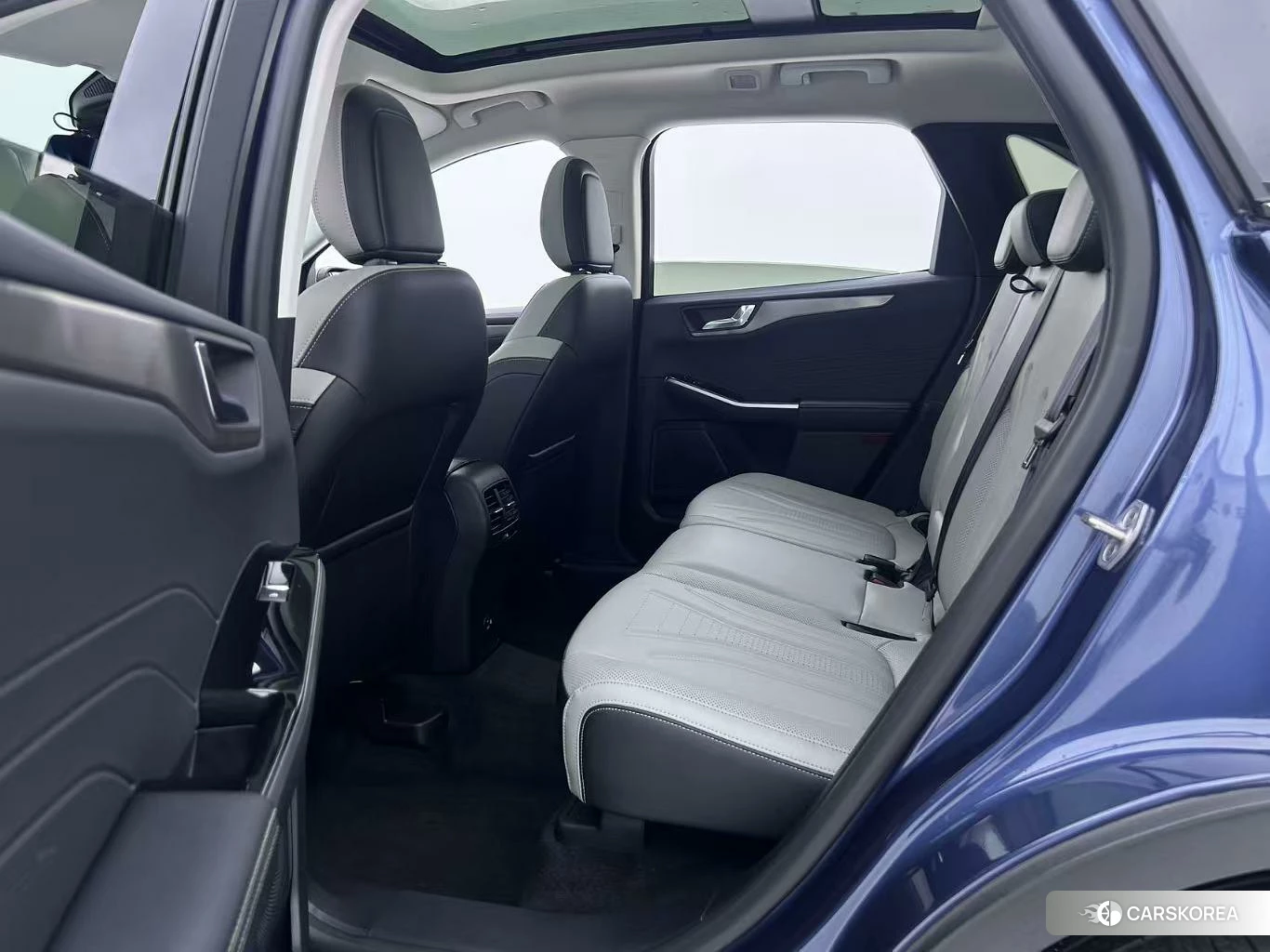 Ford Ruiji 2020 Синий из Китая, фото 2