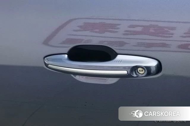 Ford Ruiji 2021 Синий из Китая, фото 2
