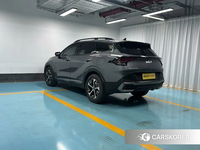 Kia Lion Platinum expands the world 2024 Темно-серый из Китая, фото 2