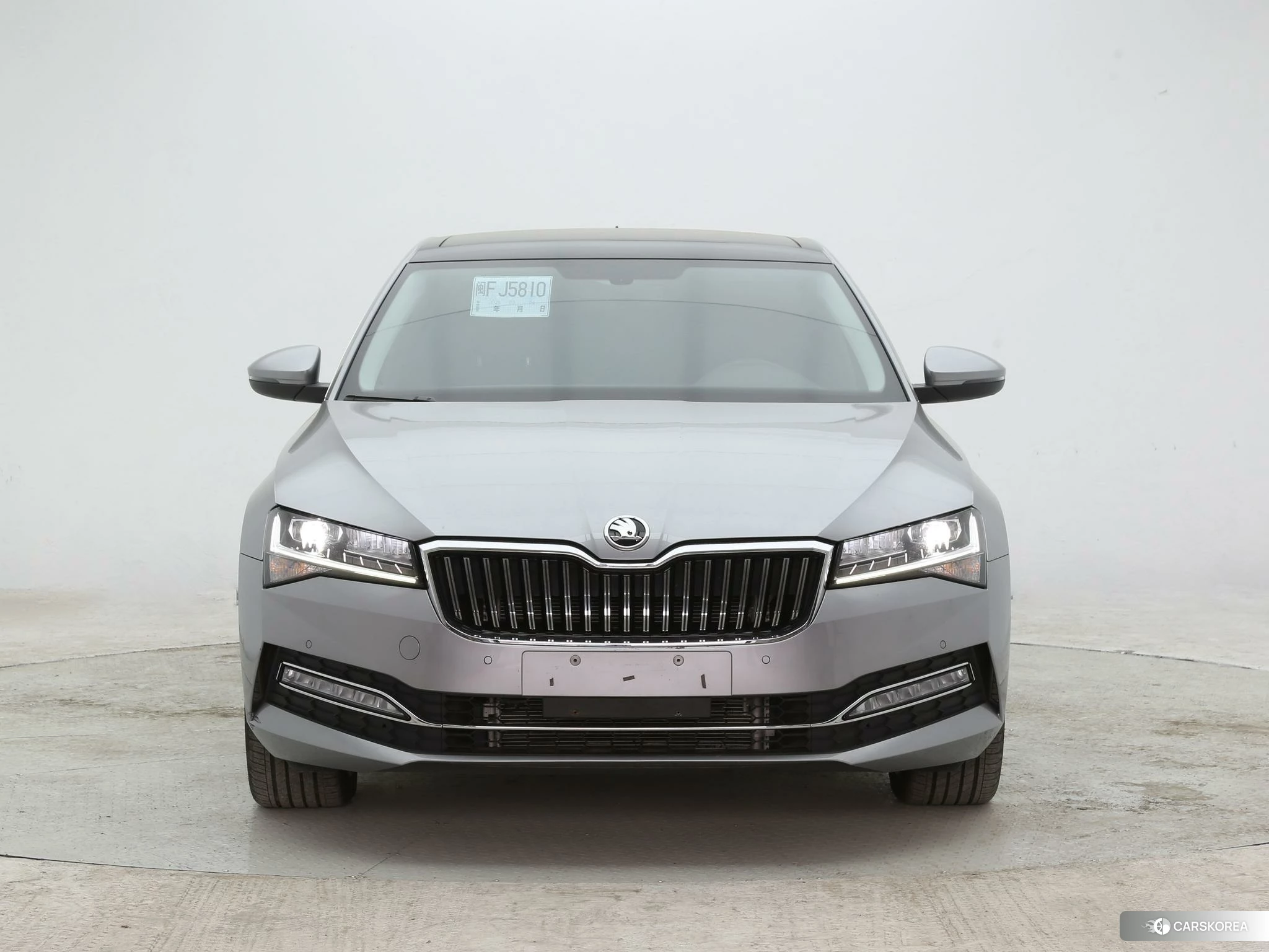 Skoda Speed pie 2023 Серебристо-серый из Китая, фото 2