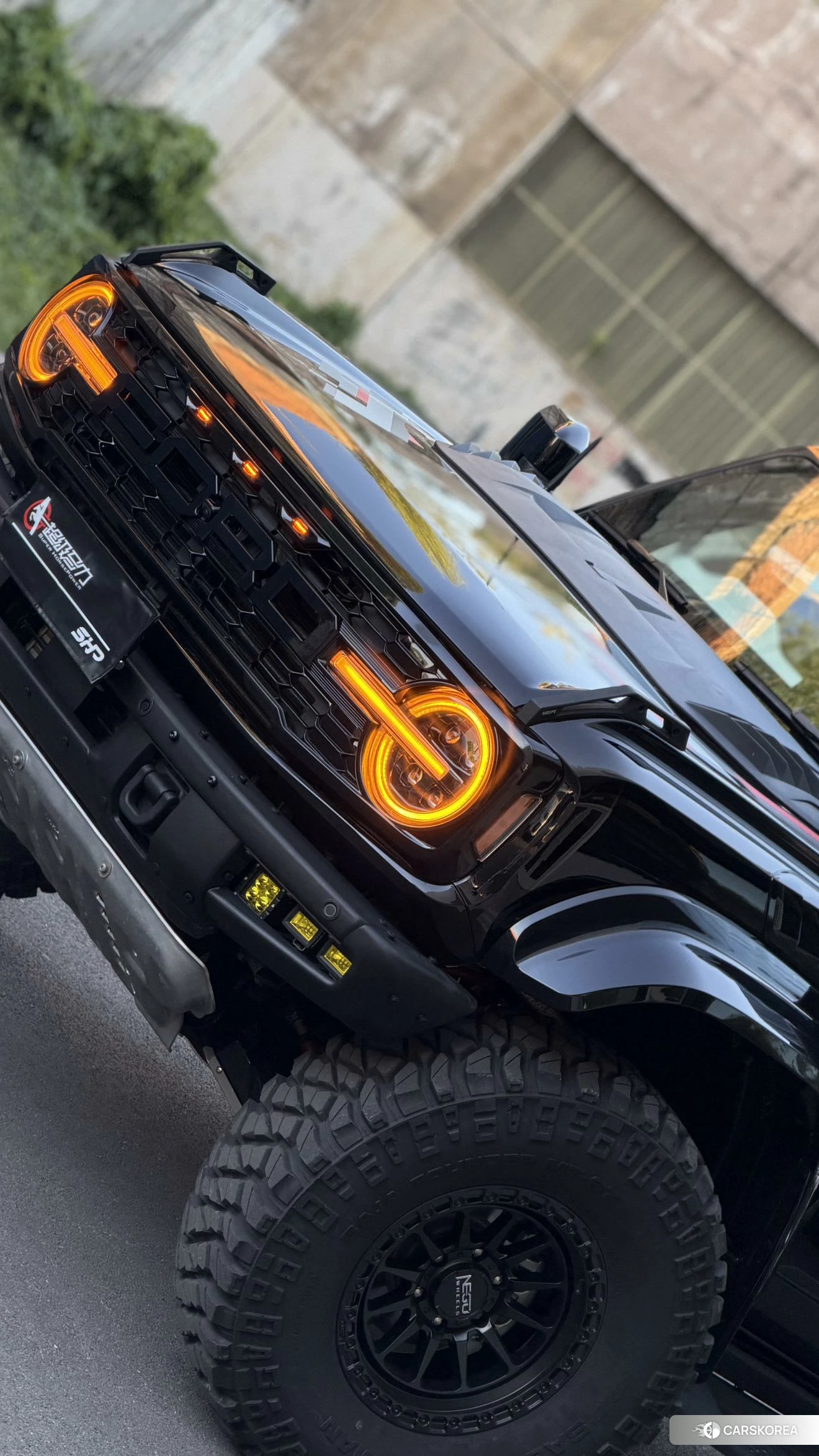 Ford Lie Ma 2024 Черный из Китая, фото 2