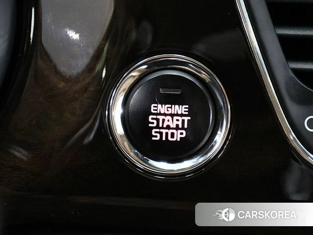 Kia The New Carnival 2018 Жемчужный цвет из Кореи, фото 2